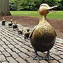 Make Way for Ducklings statues in Boston Public Garden.